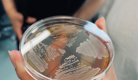 biotechnology in lab